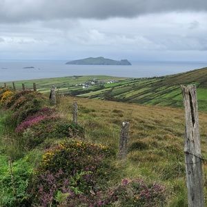 Meet your Posher, Lindsay